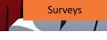 Surveys